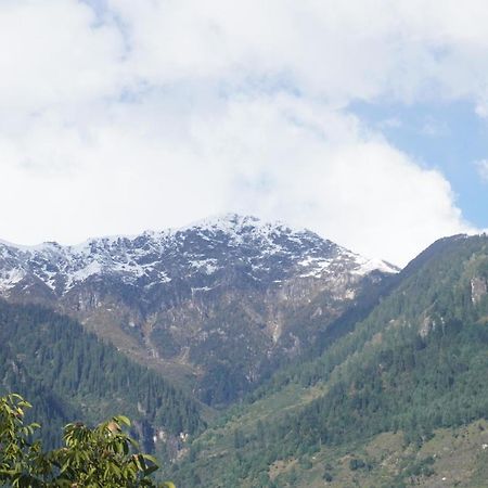 Himalayan Woods Cottage Manāli Buitenkant foto